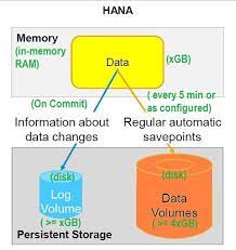 Sap Hana Persistent Layer Business Logic Hana Sap
