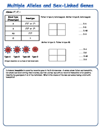 Worksheets, practice sheets & homework sheets. Multiple Allels Worksheets Teaching Resources Tpt