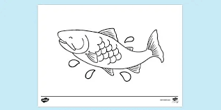 Simply do online coloring for sketch of angler fish coloring pages directly from your gadget, support for ipad, android tab or using our web feature. Free Carp Fish Colouring Colouring Sheets