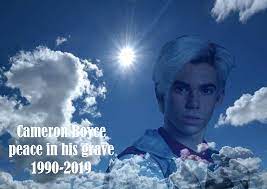 Actor cameron boyces cause of death was sudden unexpected death in epilepsy the los angeles county department of medical examiner coroner said tuesday. Cameron Boyce Peace In His Grave By Oscarcajilima On Deviantart