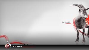 Fc köln wallpapers für ihren pc, laptop oder tablet. Hero Wallpaper On Twitter Fc Koln Desktophintergrund Wallpaper Https T Co Jmihzbqgpo Hd Walpaper 1 Fckoln Fc Kln Hintergrundbilder