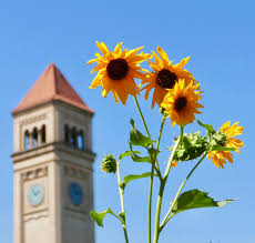 We did not find results for: Guerrilla Gardener Brings Wild Tactics To Riverfront Park And Spokane Reaps The Flowery Results The Spokesman Review
