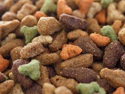 10 Best Healthiest And Worst Dog Foods In 2019