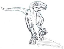 Velociraptor Sketch Velociraptor Drawing Dinosaur Drawing Dinosaur Sketch