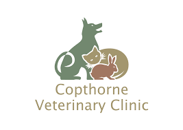 The well pet clinic is located in the southern maryland county of st. Copthorne Veterinary Clinic Vet In Crawley West Sussex