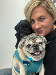 Miss Lily and I are long time followers of loulou the pug. Our Loulou  plushie came in the mail the other day and it's absolutely adorable!