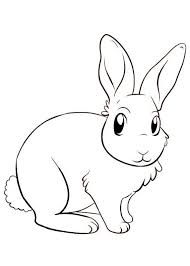 45 Disegni Di Conigli Da Colorare Pianetabambini It Disegno Coniglio Disegni Outline Disegno Coniglietto