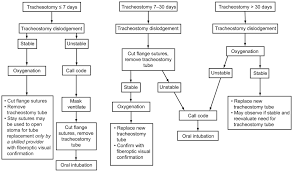 tracheostomy tubesdiscussion respiratory care