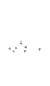 There are 44 aesthetic white wallpapers published on this page. White Wallpaper Background Aesthetic
