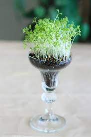 20 Creative And Interesting Things You Can Do With Wine Glasses Wine Glass Decor Wine Glass Crafts Wine Glasses