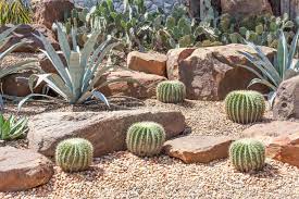 The world is full of free advice. 34 Sharp Cactus Garden Ideas Dry Garden Design Cactus Garden Cactus Garden Landscaping