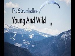 The Strumbellas Dog Lyrics Youtube youtube