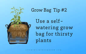 We did not find results for: Gardening In Grow Bags 5 Tips For Success Growing In The Garden