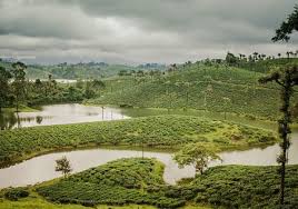Weekend Getaway Valparai With Images Weekend Getaways Tea Estate Getaways