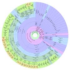 colored descendant fan chart family genealogy genealogy