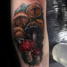 We have mushroom tattoo ideas, designs, symbolism and we in this overview of mushroom tattoos, we will take a look at some of the symbolism that comes attached to these interesting fungi. Mushroom Tattoos Designs Ideas And Meaning Tattoos For You