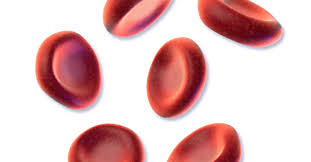 Image result for Blood Doping