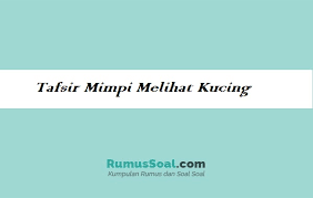 Mau tahu apa arti mimpi digigit kucing? 15 Arti Mimpi Tentang Kucing Menurut Islam Pertandanya