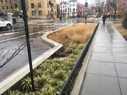 Bioswale - Wikipedia