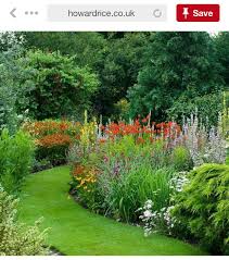 Pin By The Foth Family On Gardening Plants Plants