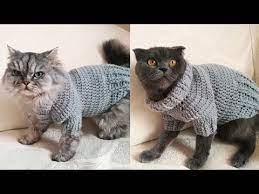 kedi ve kopeklerimize bogazli ve patili kiyafet orelim youtube kedi evcil hayvan kiyafetleri kopek
