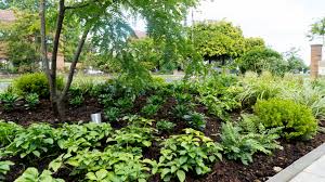 Take a sneak peek below to see if your local is on the list + head here to plan your visit. Garden Planting Design And Landscaping St Albans Karl Harrison Landscapes