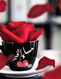 ورد وقهوة / ياسمين ربيع الاثنين، 5 مايو 2014. Ù…Ø³Ø§Ø¡ Ø§Ù„Ù†ÙˆØ± Ø­Ø¨ÙŠØ¨ØªÙŠ Ø§Ø¬Ù…Ù„ Ø§Ù„Ø±Ø³Ø§ÙŠÙ„ Ø§Ù„ØµØ¨Ø§Ø­ÙŠÙ‡ Ù„Ù„Ø­Ø¨ÙŠØ¨ ÙÙ†Ø¬Ø§Ù† Ù‚Ù‡ÙˆØ©