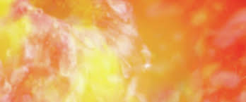 Mcom degree certificate gujarat university 2019. Firmenich World S Largest Privately Owned Fragrance And Taste Company