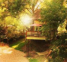 Guadalupe River Cabins In New Braunfels River Road Treehouses River Cabin Guadalupe River Tree House