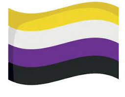 Es como se le llama al término que engloba a todos los géneros no binarios, tales como género fluido, genderqueer y demás, que todo eso conforma parte del espectro trans* (aquellos que sufren de alguna especie de disforia de género. No Binario Bandera Bandera Signo 3x5 Pies Nb Orgullo Identidad De Genero Ebay