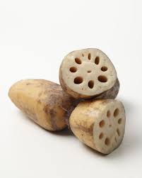 Image result for Lotus discolor