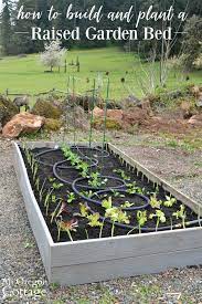 If you go to lowes or home depot they will cut your boards for you. How To Build Plant A Low Maintenance Raised Garden Bed An Oregon Cottage