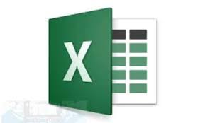 Provide my expertise in excel data entry data cleaning and formatting by  Profsaa