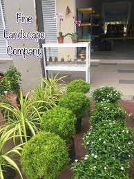 Jun 20, 2021 · tak perlu berlebihan, kamu juga bisa menggunakan hasil karya sendiri sebagai hiasan dinding kamar cowok. Sarawak Edition Adakah Anda Memerlukan Tanaman Hiasan Facebook