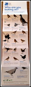Upload, livestream, and create your own videos, all in hd. Rspb Biggardenbirdwatch Living Life Our Way
