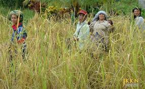 Apabila perut semakin besar, ini akan memberi tekanan tambahan kepada tulang suami pun melarang saya untuk mengemop kerana takut kayu mop tercucuk perut. Jkkn Pemetaan Budaya Adat Resam Dan Budaya Kaum Iban Adat Kematian