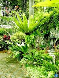 Christopher Ong My Footsteps My Dreams Beautiful Living Color Palette From Tropical Garden Tropical Garden Design Tropical Landscaping Tropical Backyard