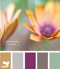 This design includes four closet rods, 3 center shelves, and four drawers to host your. Color Theme Idea For Katy Cameron Design Seeds Color Schemes Color Palate