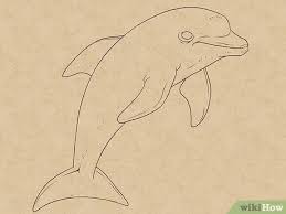 Gratis untuk komersial tidak perlu kredit bebas hak cipta. Cara Menggambar Lumba Lumba 14 Langkah Dengan Gambar Wikihow