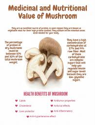 11.10.2021 · mushrooms health benefits includes preventing anemia, a good source of vitamins, supporting healthy bones, promotes healthy immune system, supports skin and hair health, support weight loss, manage blood pressure, manage diabetes, support healthy hair, helps prevent breast cancer, and helps in cholesterol management. Amazing Health Benefits Of Eating Mushrooms Is Mushrooms Good For You