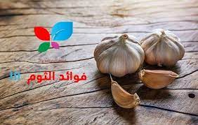 فوائد الثوم مضاد حيوي طبيعي تعرف على أهم علاجاته sehajmal vegetables garlic food