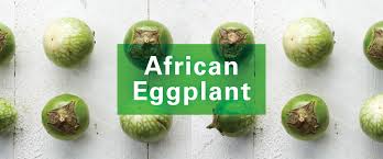 How do you categorize eggs, fruit, or vegetables? Garden Egg Stew Lutheran Services In Iowa