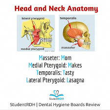 Dental Hygiene Boards Questions Prep Questions Dental Hygiene Boards Sample Questions Mock Dental Hygiene Dental Hygienist Education Dental Hygienist School