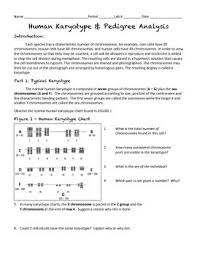 Students should cite evidence to support their conclusions that the fetus is male or female, and does or does not have down syndrome or other chromosomal. Karyotype Activity Worksheets Teachers Pay Teachers