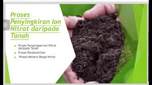 Tumbuhan hanya boleh menyerap nitrogen daripada sebatian nitrat dalam tanah melalui akarnya untuk mensintesiskan protein. Sains Tingkatan 5 Bab 2 2 3 Kitar Nitrogen Youtube