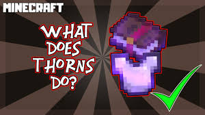 Is Thorns Enchantment Worth Using In Minecraft?