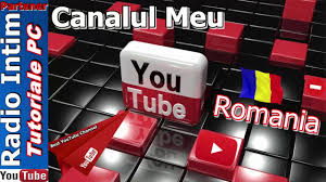 Cati Bani Faci La 1 000 De Vizualizari Pe Youtube Calcul Corect Youtube