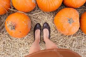 Painted Oaks Academy Pumpkin Patch In Orlando Florida Fall Fashion Outfit Burnt Orange Utility Bow Ski Pumpkin Patch Pumpkin Patch Outfit Florida Outfits