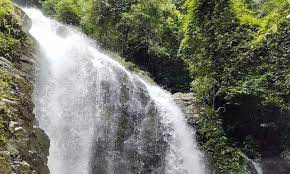 Kue buayo berenang buayo berenang cake. Taman Wisata Ds Pulau Buayo Kabupaten Sarolangun Jambi 15 Tempat Wisata Di Sarolangun Terbaru Paling Hits Dikunjungi Andalas Tourism Wisata Alam Jambi Penuh Pesona
