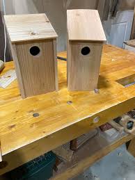 Image result for Flyte Blackbird Nest Box